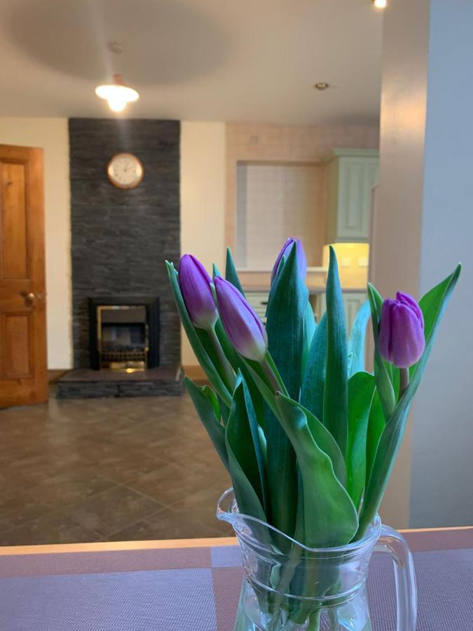 Ringfort Manor Rathfriland 외부 사진